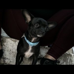 Meet your Posher, Nene